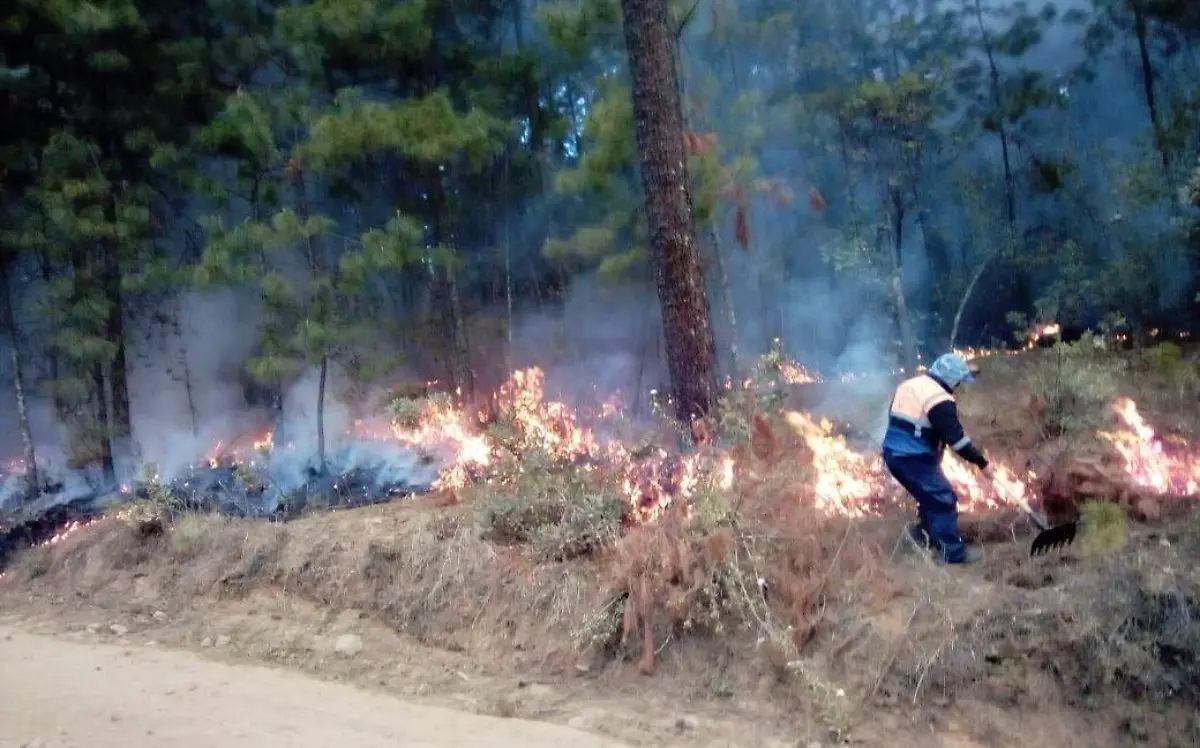 Incendios PC Amanalco 1 (1)